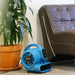 Xpower Mini Carpet/Floor Drying Air Blower In Use